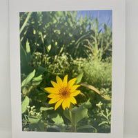 Nature Vibes Greeting Card Set - A taste of peace