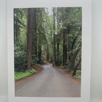 Nature Vibes Greeting Card Set - A taste of peace
