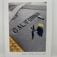 Limited Edition - CA Greeting Card set