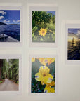 Nature Vibes Greeting Card Set - A taste of peace