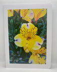 Nature Vibes Greeting Card Set - A taste of peace