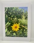 Nature Vibes Greeting Card Set - A taste of peace