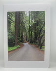 Nature Vibes Greeting Card Set - A taste of peace