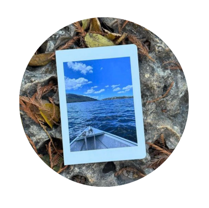 Nature Vibes Greeting Card Set - A taste of peace